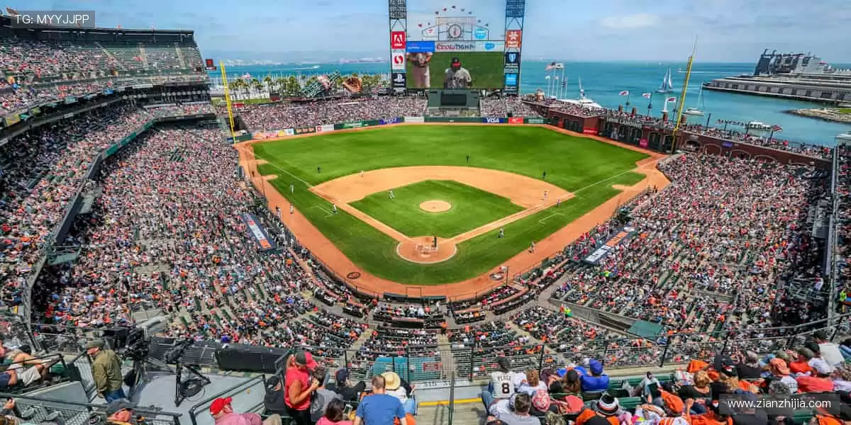 🎮电竞周边集结,释放指尖的力量!